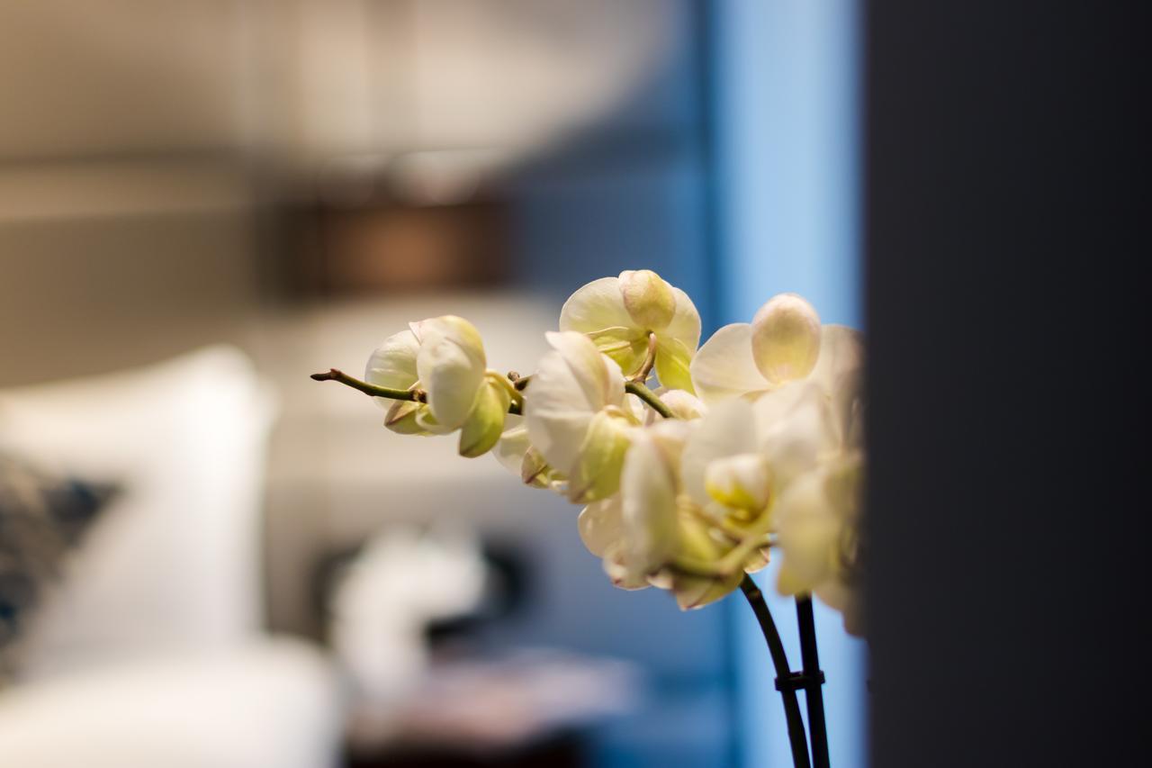 Montcalm Chilworth Townhouse, Paddington Hotel Londres Exterior foto The photo features a close-up of a delicate, white orchid flower. The flower is set against a blurred background that suggests a stylish indoor environment, possibly a hotel or a modern living space. The background includes a hint of soft furnishings